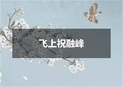 飞上祝融峰