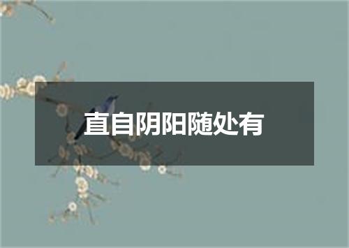 直自阴阳随处有