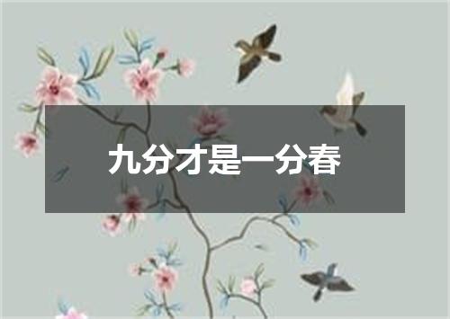 九分才是一分春