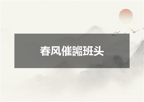 春风催嘂班头