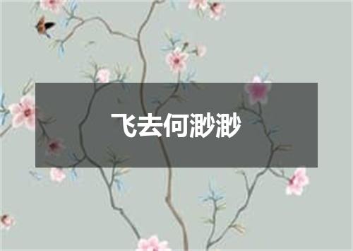 飞去何渺渺
