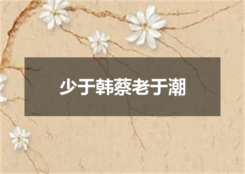 少于韩蔡老于潮