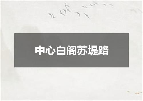 中心白阁苏堤路