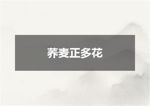 荞麦正多花