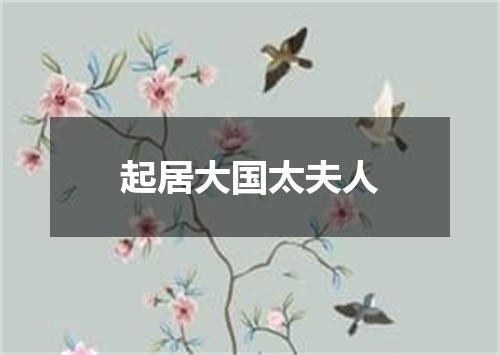 起居大国太夫人