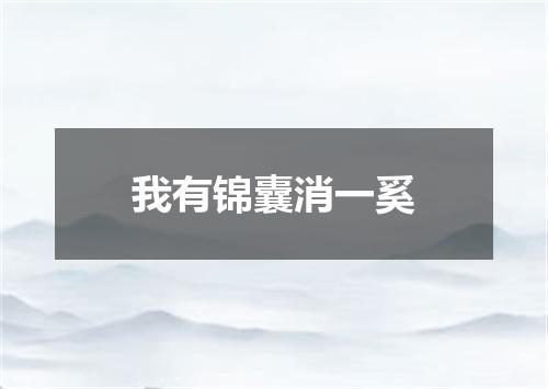 我有锦囊消一奚