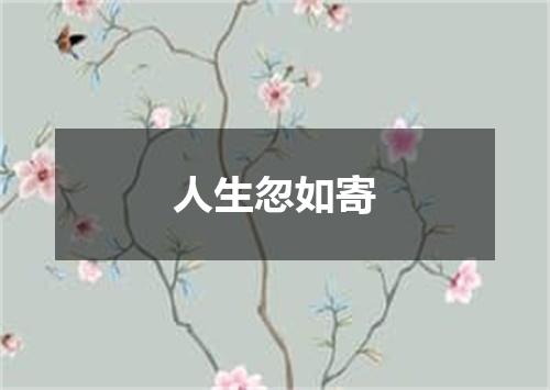 人生忽如寄