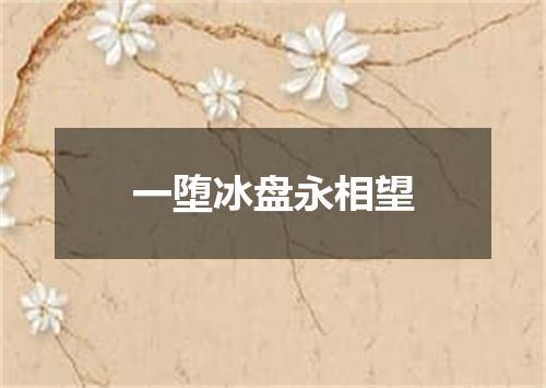 一堕冰盘永相望