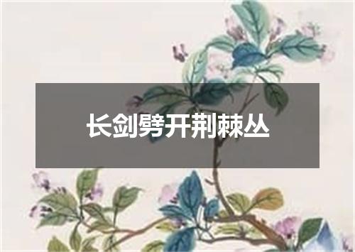 长剑劈开荆棘丛