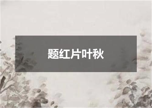题红片叶秋