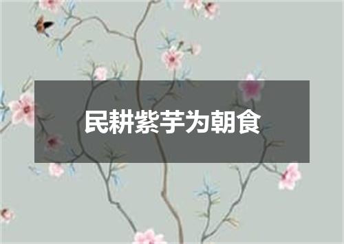 民耕紫芋为朝食