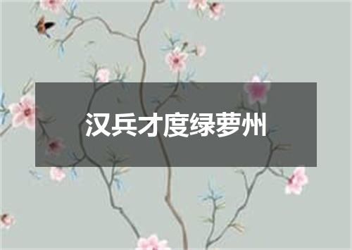 汉兵才度绿萝州