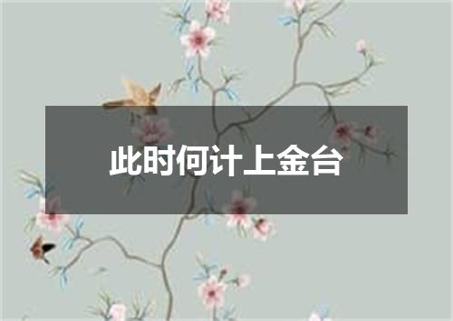 此时何计上金台