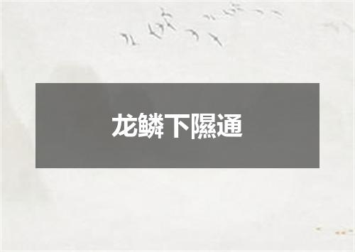 龙鳞下隰通