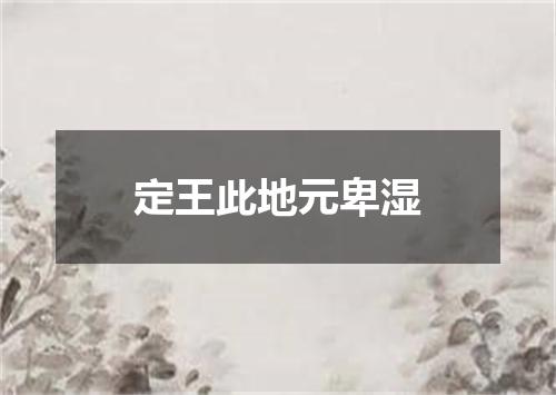 定王此地元卑湿
