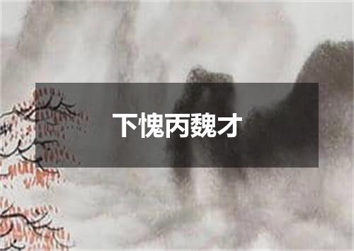 下愧丙魏才