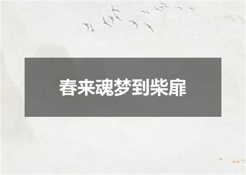 春来魂梦到柴扉