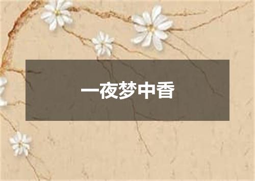 一夜梦中香