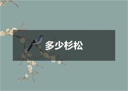 多少杉松