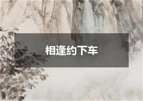 相逢约下车