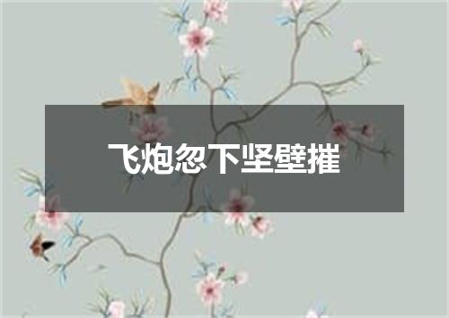 飞炮忽下坚壁摧