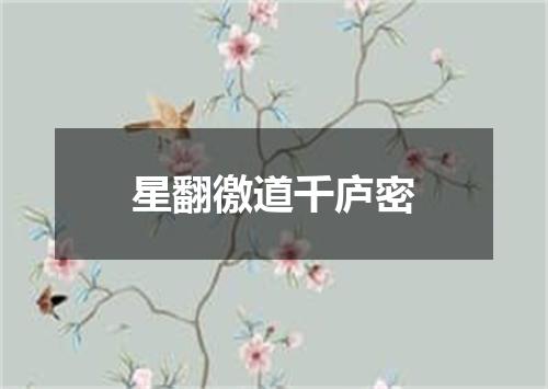 星翻徼道千庐密