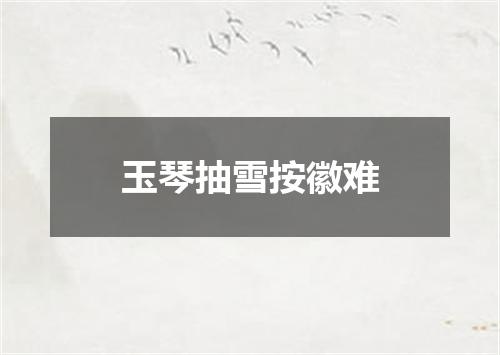 玉琴抽雪按徽难