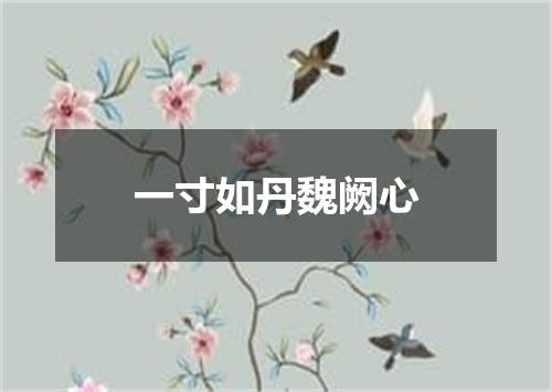 一寸如丹魏阙心