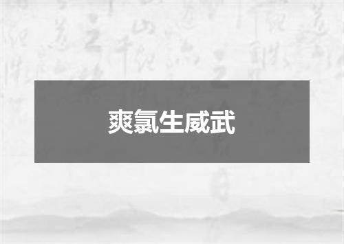 爽氯生威武