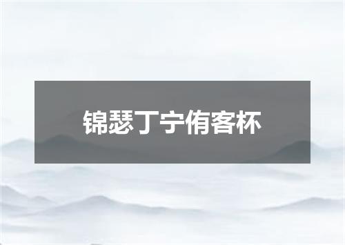 锦瑟丁宁侑客杯