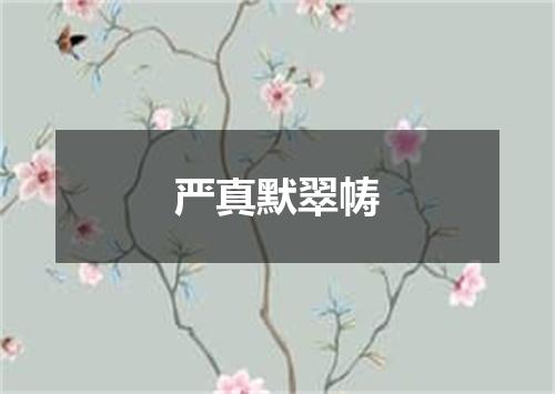 严真默翠帱