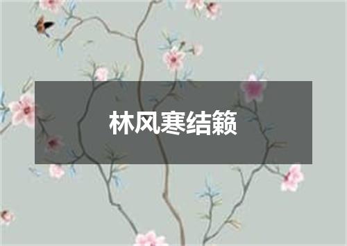 林风寒结籁