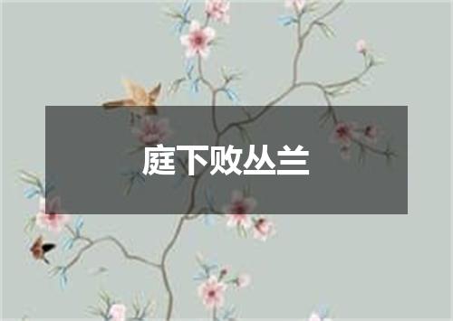 庭下败丛兰