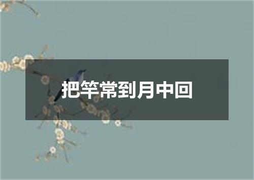 把竿常到月中回