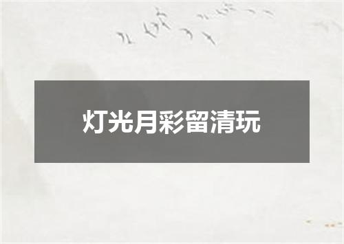 灯光月彩留清玩