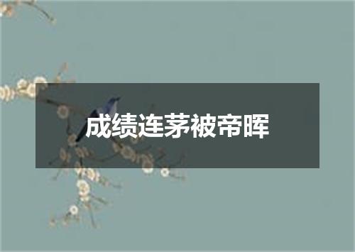 成绩连茅被帝晖