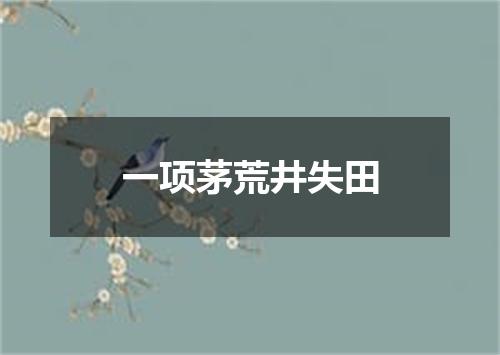 一项茅荒井失田