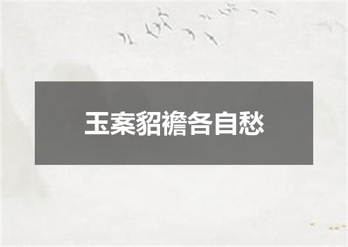 玉案貂襜各自愁