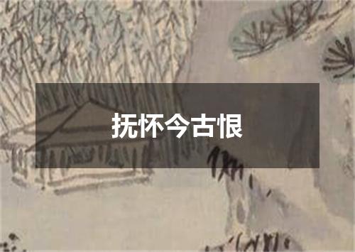 抚怀今古恨