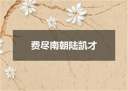 费尽南朝陆凯才