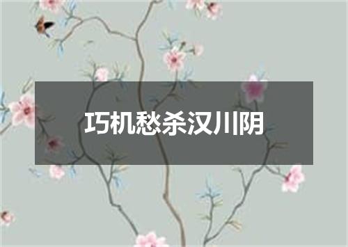 巧机愁杀汉川阴