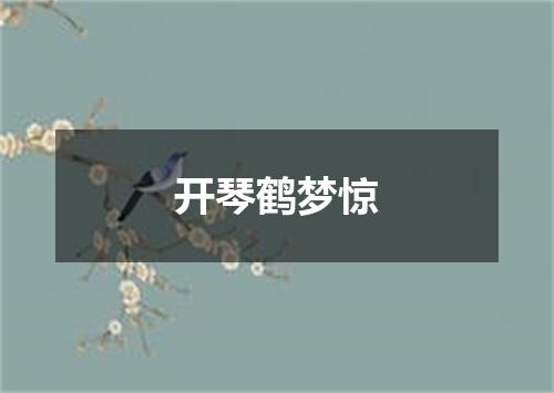 开琴鹤梦惊