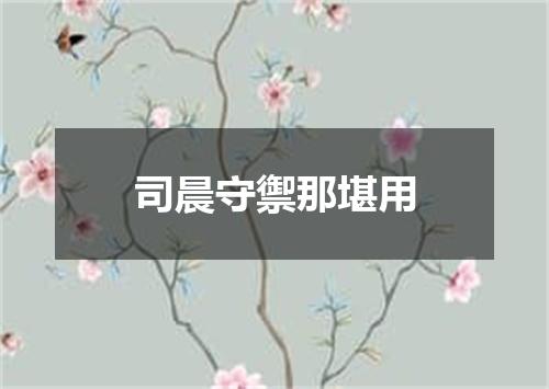 司晨守禦那堪用