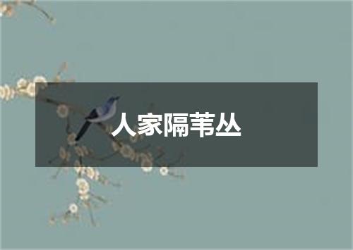 人家隔苇丛