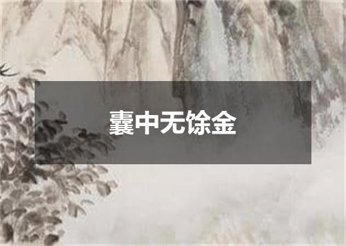 囊中无馀金