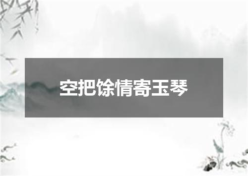 空把馀情寄玉琴