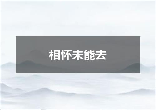 相怀未能去