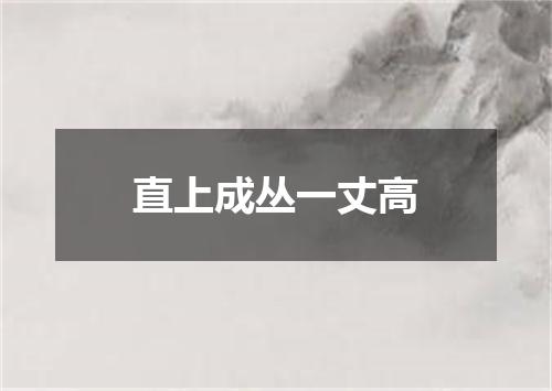直上成丛一丈高