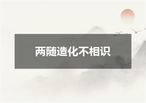 两随造化不相识