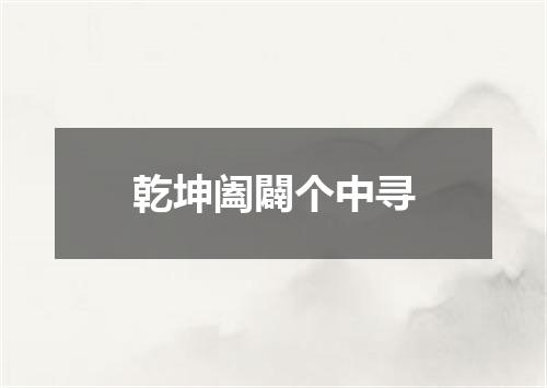 乾坤阖闢个中寻